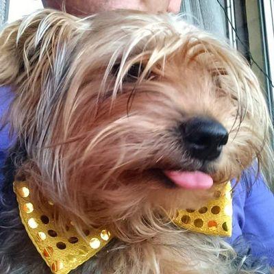 Dilfe34Salazar's profile picture. 