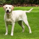 Leon Hoffmann - @LeonHoffmann05 - Twitter