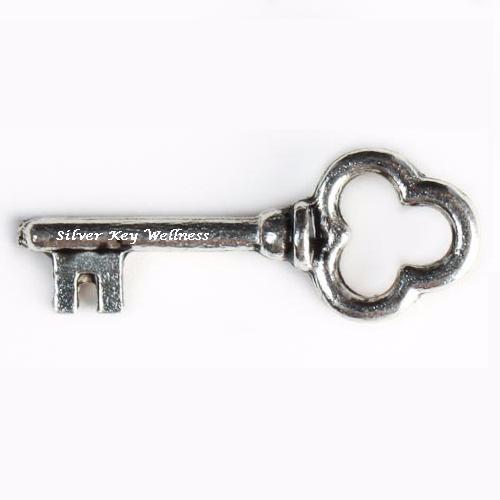 Silver Key Wellness offers chronic pain erasing, therapeutic bodywork treatments, and empowering you with intuitive coaching for your own self healing practice.
