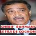 CHERIF RAHMANI (@cherif_rahmani) Twitter profile photo