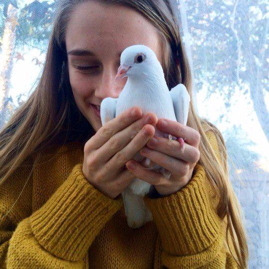 biggoodlemur's profile picture. Sims. My Chemical Romance. Forever.