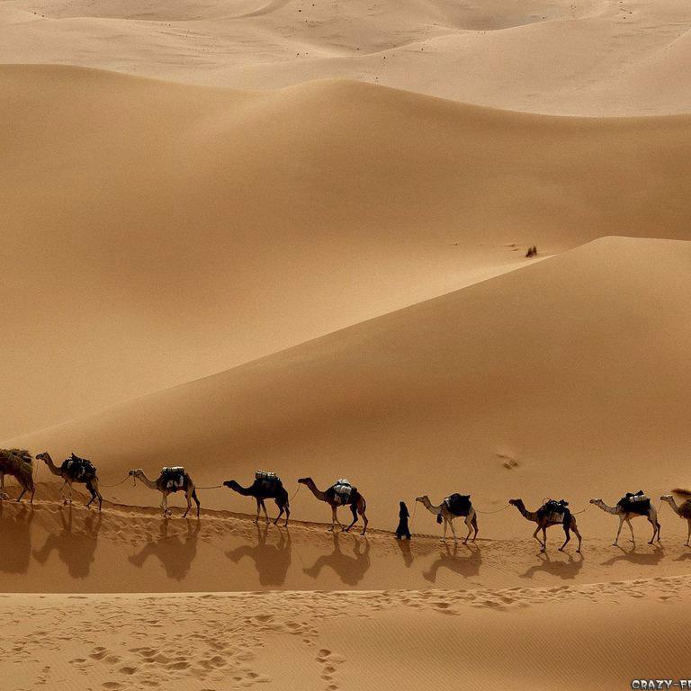 2011mill61's profile picture. 