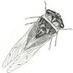 Tymbal Tapes (@tymbaltapes) Twitter profile photo Tymbal Tapes (@tymbaltapes) Twitter profile photo