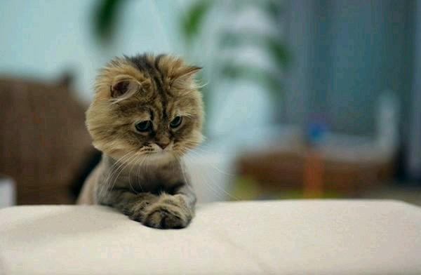 syaidasyafiqah's profile picture. شعبة اللغة العربية وآدابها at Universiti Sultan Zainal Abidin, Kuala Terengganu, Terengganu 2012-2014 SMA-MAIWP 2007-2011