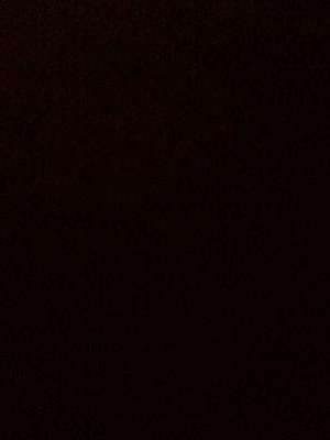 amyazzzn's profile picture. 