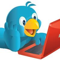 Seguidores Mexicanos (@seguidormexico) 's Twitter Profile