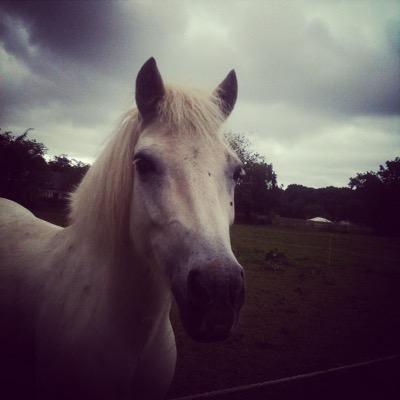 CeliaMascotte's profile picture. J'ai touchée le paradis dès que je suis montée sur son dos  #Mascotte