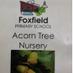 Acorn Nursery (@acorn_foxfield) Twitter profile photo