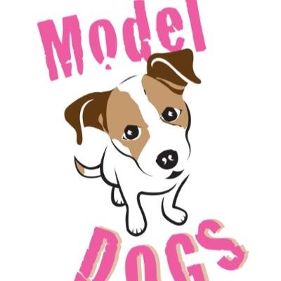 Pet portrait artist & canine behaviourist/trainer. https://t.co/rAPVKpZSUT