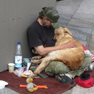 Lets end homelessness for good! Sign this petition to help this happen:
https://t.co/QFzJRMB49R
