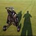 GolfBlogs (Deutsch) (@golfblogsde) Twitter profile photo GolfBlogs (Deutsch) (@golfblogsde) Twitter profile photo