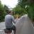 Elies_IbdAm's profile image