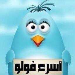 ‏‏‏فلو فلوباك مباشر.           لطلب الرتويت يرجى الارسال على الخاص الحساب الاساسي @goldenretwitt