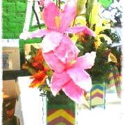 yo2345888la's profile picture. 