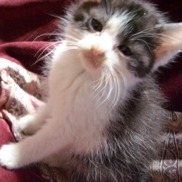 hiro041672's profile picture. USJと佐渡裕さんと陽炎が大好きです♪脈絡ないですけど！（笑）