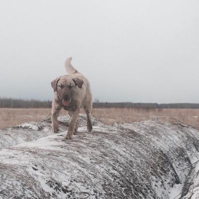 NPARAresearch's profile picture. A Rounder...tweets are my own