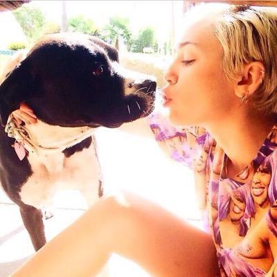 PLUTO • Congrats yiew foundtt ma priv Acc • Main Acc: @mileycyrus Instagram: @mileyprivcyruz