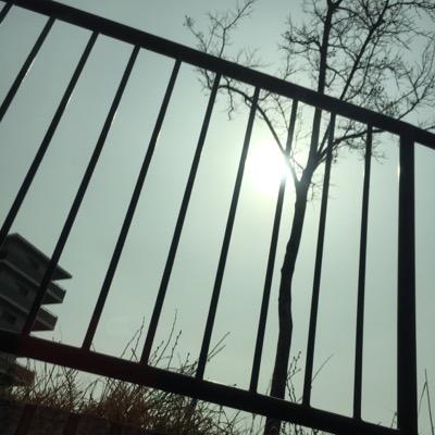 kaori_nioi's profile picture. むかし魔女に出会いました
最近は嘘を本当にする作業に追われてます