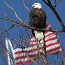 Cindy Ritter - @Critter626 - Twitter