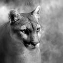 Randy Mullis - @mullis_randy - Twitter