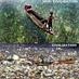 Recycling Impact (@recyclingimpact) Twitter profile photo Recycling Impact (@recyclingimpact) Twitter profile photo
