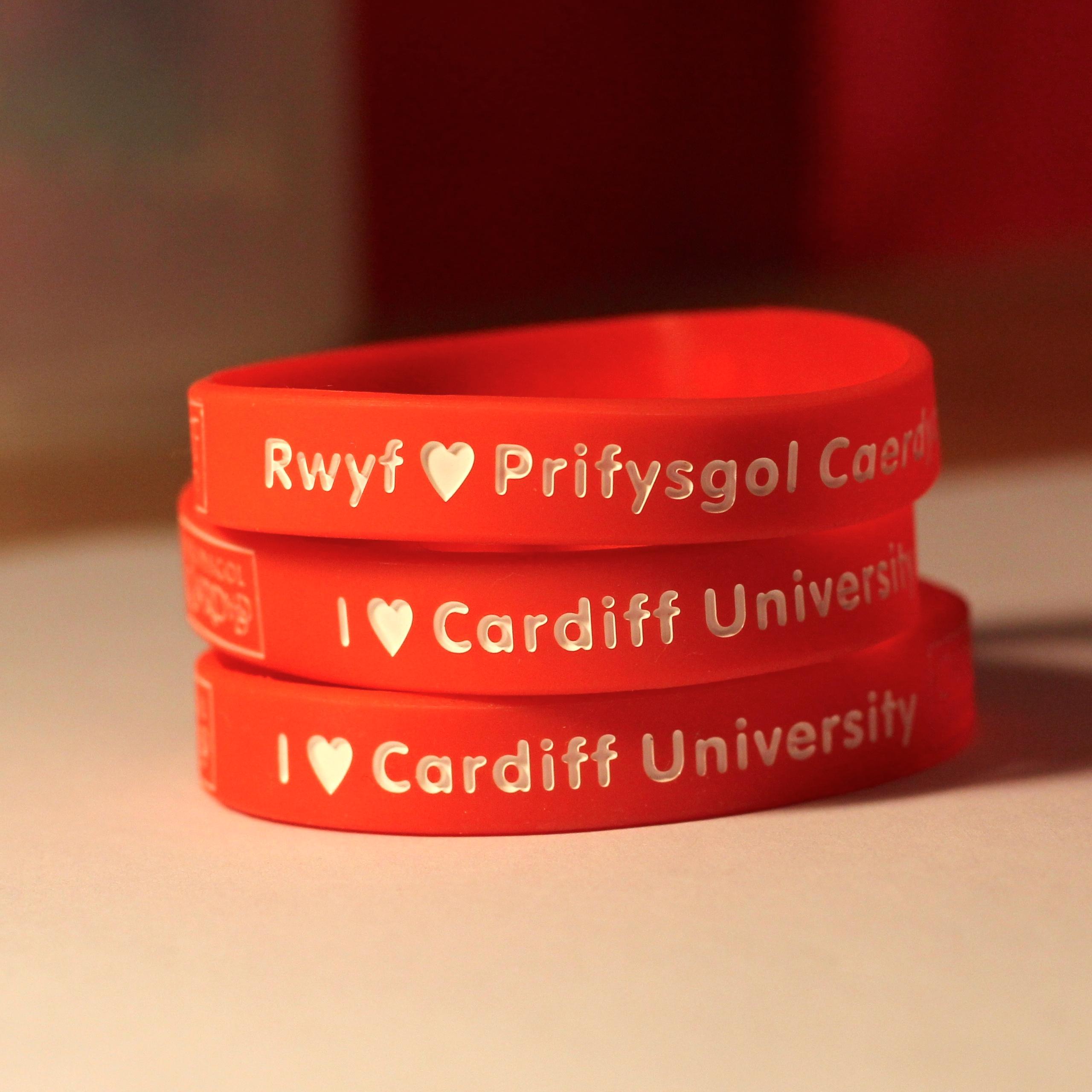 how your University spirit!

Keep a piece of memory in your hand!

Buy Cardiff Wristbands and together make a love revolution to our fantastic Uni ♥