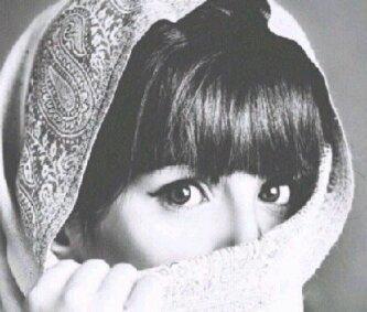 sedra_tamimi Profile Picture