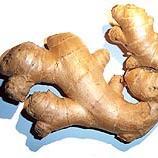 JaheNgawi's profile picture. Pusat Jahe Berkualitas - Indonesia
IG: JaheNgawi
FB : JaheNgawi