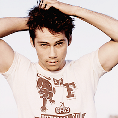 [ 20. Human. ] Orphan. I was raised and trained to kill, now I can't scape them. [Loyal] #FreeRol #Fake