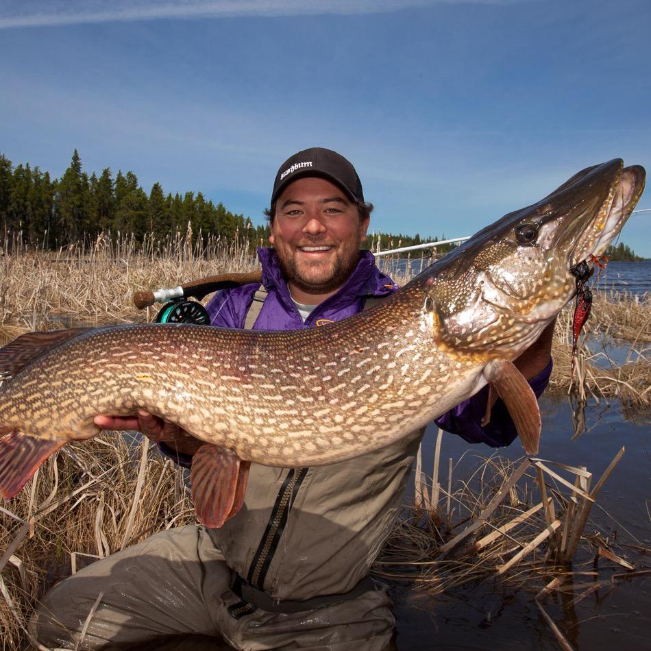 NaotoJHAoki's profile picture. Photographer, Fly Fisher and Bow Hunter