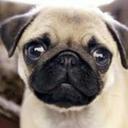 Mollie Webster - @webster_mollie - Twitter