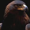 محمد.ابوالوليد. (@13mohammad99) Twitter