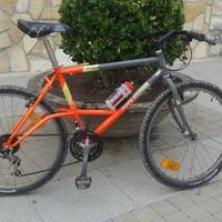 miguel escribano (@delegadoece) 's Twitter Profile