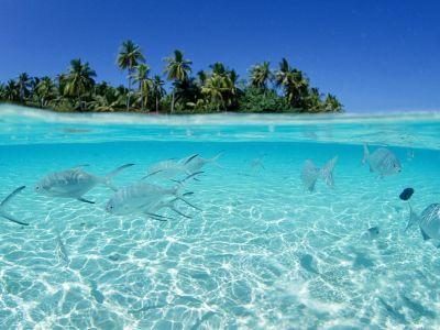 ErceliEren's profile picture. 