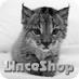 LinceShop (@linceshop) Twitter profile photo