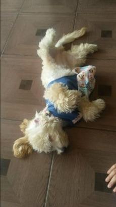 ladybayasnicola's profile picture. ♥