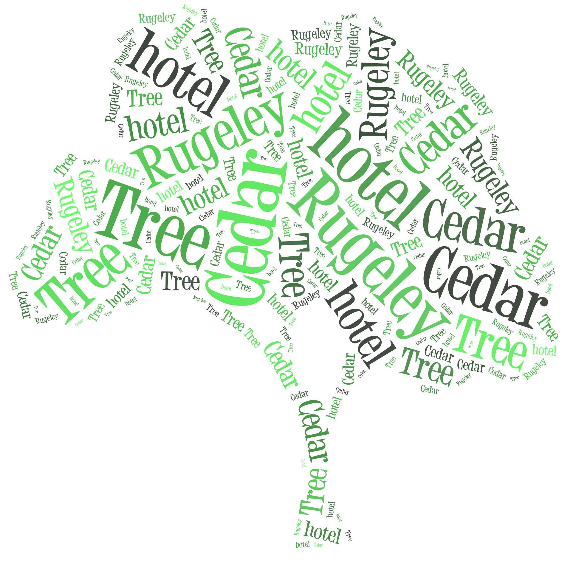 cedartree_1's profile picture. Located in Rugeley, our hotel is minutes from the beautiful chase. With 34 en-suite rooms, our function room is ideal for weddings, and not forgetting carvery.