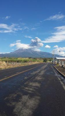 nací en mazanillo vivo en villa de alvarez