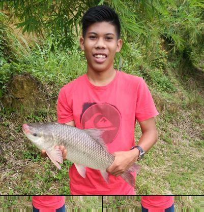 21
Perlis