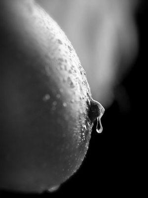 Kik:Freedom.oxo You want to ride the pony