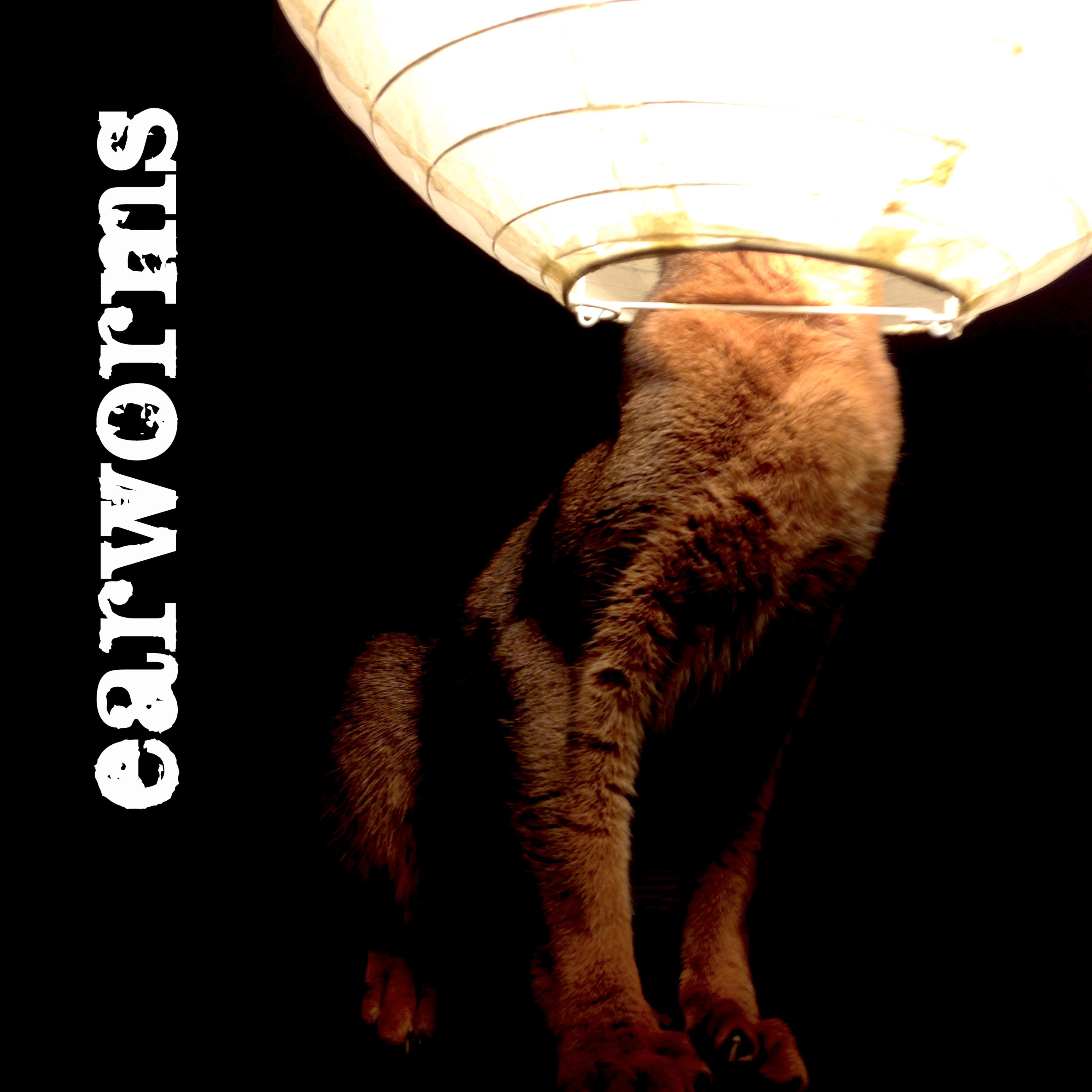 earworms444's profile picture. “EARWORMS This insane monster-piece will totally freak & satisfy your minds eye and ears. The best new record you’ve never heard” - NEW NOISE MAGAZINE