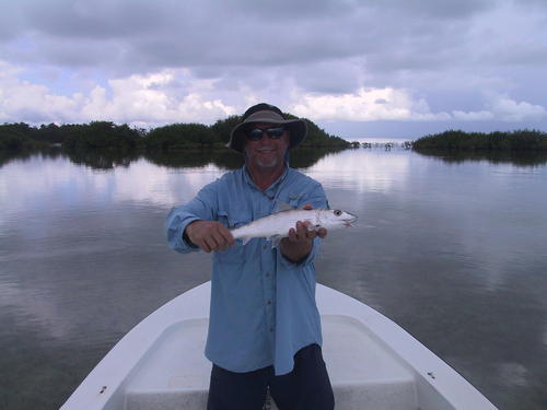 davecook56's profile picture. The Corporate Prepaid Solutions Expert, Fly Fisherman, Pie Maker, Passionate Husband and Dad