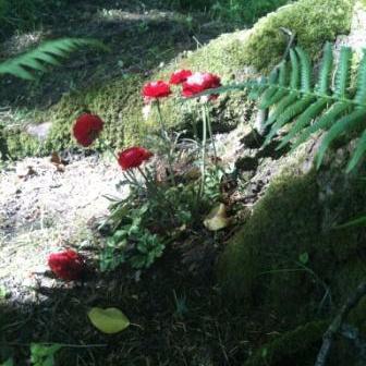 9DivineEtsy's profile picture. High quality and unique handmade products