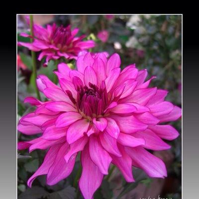 reemnelly's profile picture. Treat me like a game & ill show you how its played !! #bladesalltheway in a relationship with somebody who i love millions & he means the world to me ❤️❤️