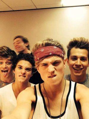 one direction_the vamps
