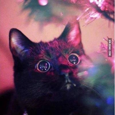 funny pictures every day