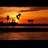 AndrewAdkison's profile image