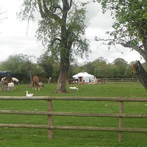 glampingwestmid's profile picture. 