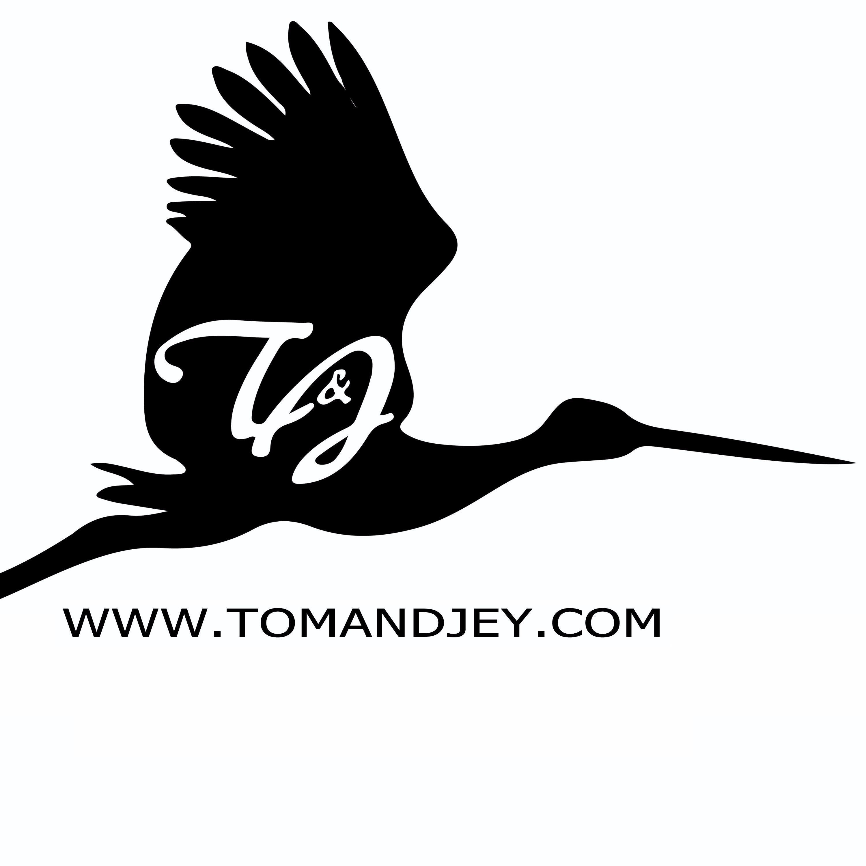 tomandjeyshirts's profile picture. Tom and Jey is an online retailer of men’s apparel. Our core products are tailor made shirts. We want to provide a perfect fit to all of our customers.