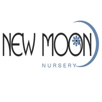 New Moon Nursery Newmoon Twitter New Moon Nursery Newmoon Twitter